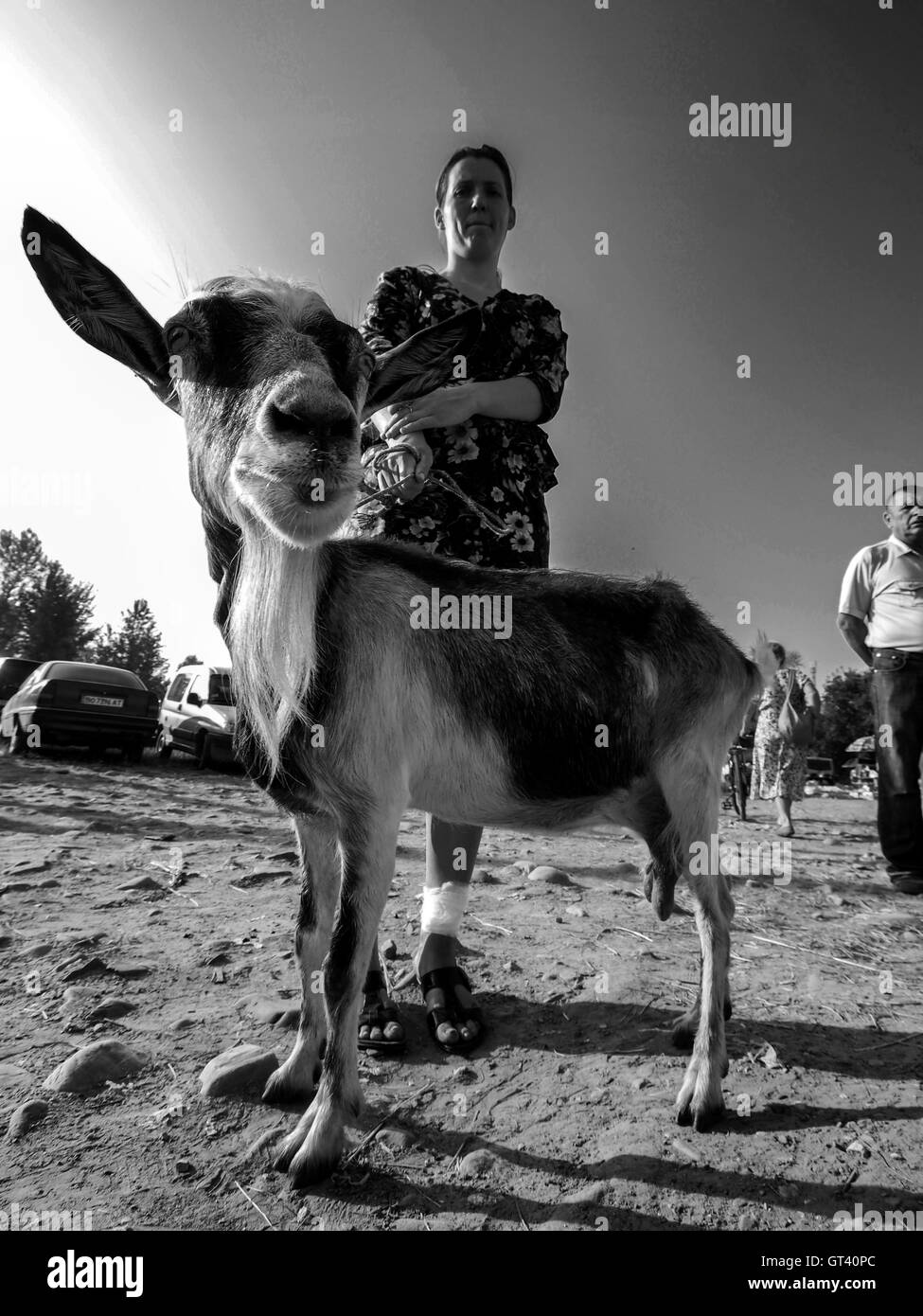 Frau mit Ziege auf Haustiere-Markt in der Stadt von Kosov, Ivano-Frankivsk Oblast, Ukraine Stockfoto