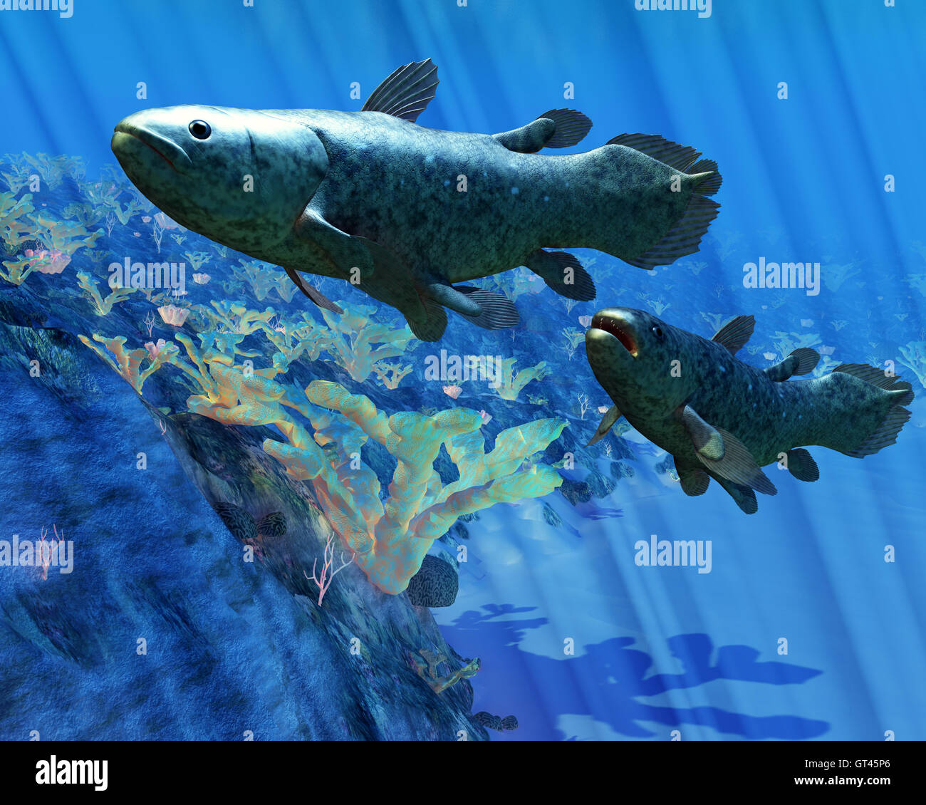 Quastenflosser Fisch Stockfoto