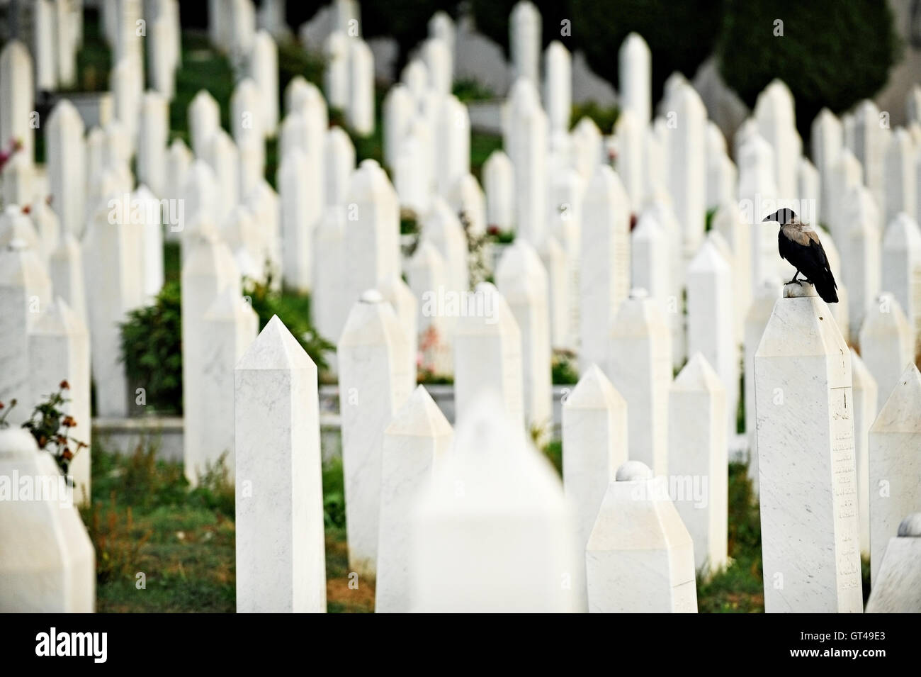 Muslimische Gräber auf dem Friedhof, gewidmet den Opfern der Belagerung von Sarajevo Stockfoto