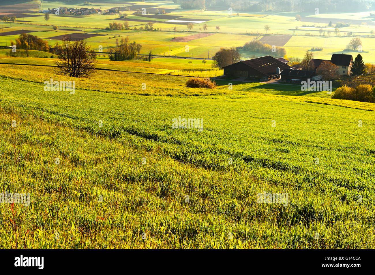 Kuhstall Stockfoto