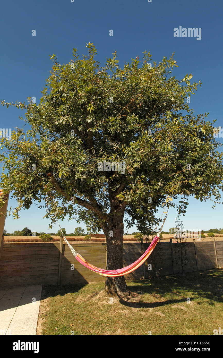Hängematte unter einem Baum hängen. Stockfoto