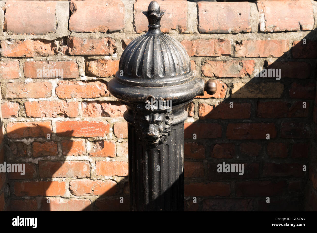 Hydranten Wasser Pumpe Löwe Stockfoto