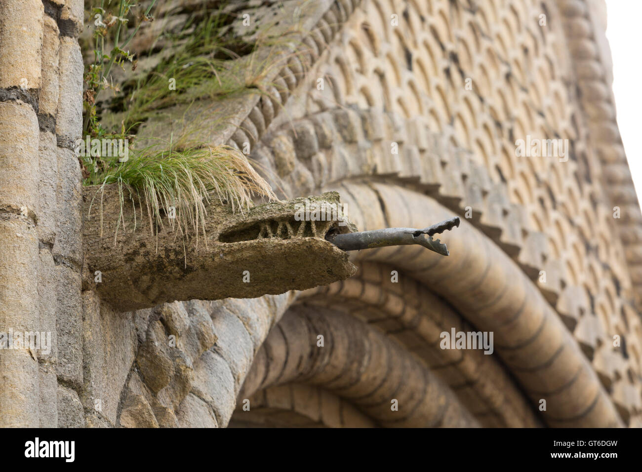 Steinerne Wasserspeier Wasser Auslauf mit Punk-Frisur Rasen wie wachsen an der Spitze. Ungespitzten Stockfoto