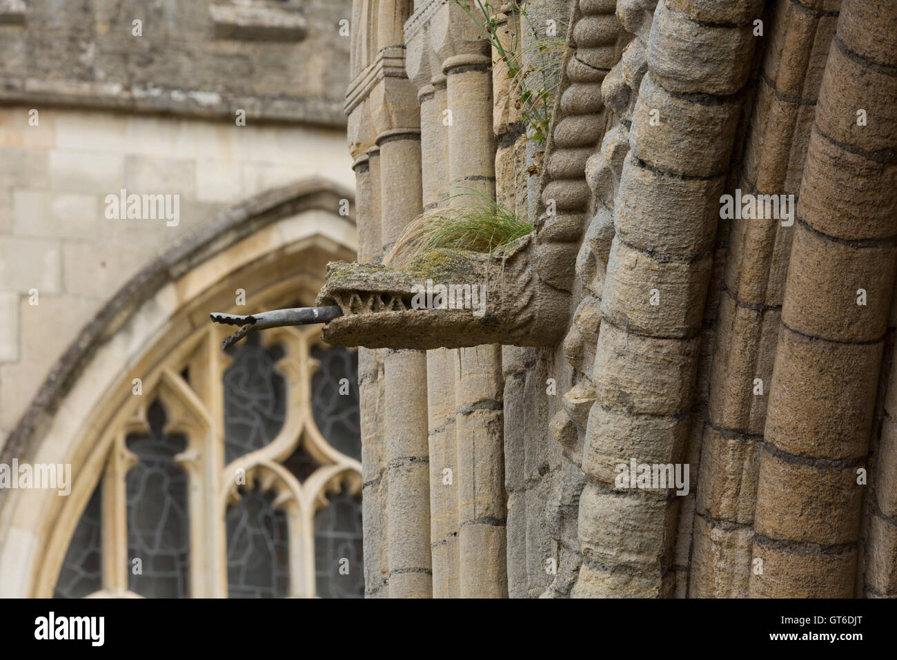 Steinerne Wasserspeier Wasser Auslauf mit Punk-Frisur Rasen wie wachsen an der Spitze. Ungespitzten Stockfoto