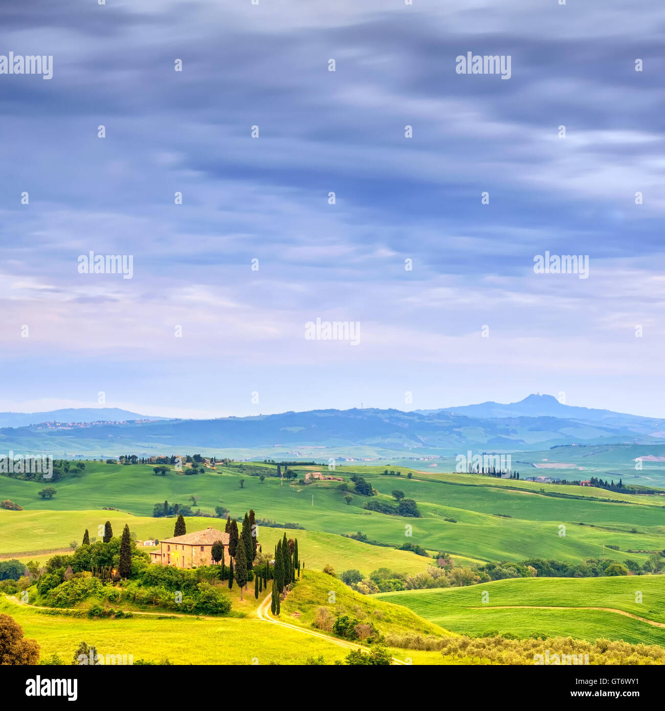Toskana, Ackerland und Zypresse Bäume Land Landschaft, grüne Felder. San Quirico Orcia, Italien, Europa. Stockfoto