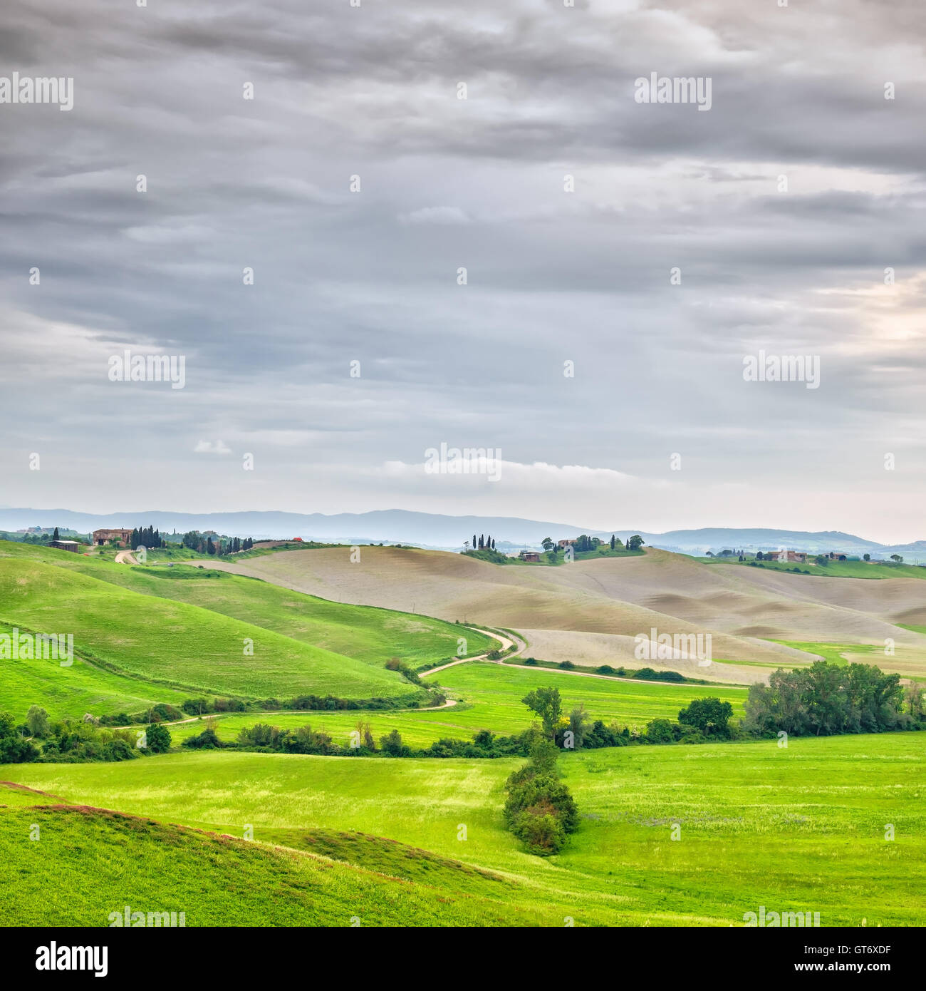 Toskana, Landschaft im ländlichen Raum. Landschaft-Ackerland, Bäume, grüne Wiese und Cloud. Orcia-Tals, Toskana, Italien, Europa. Stockfoto