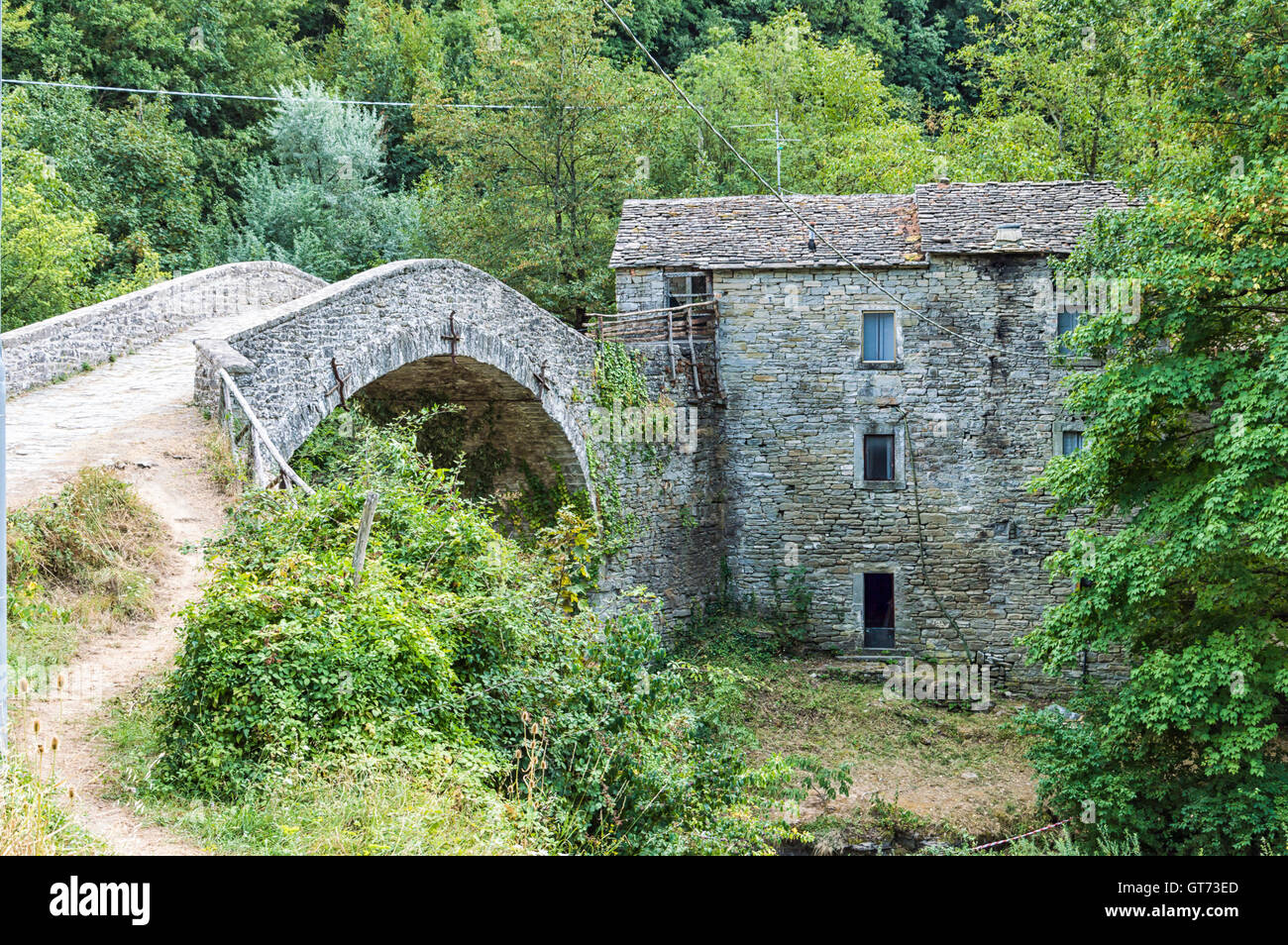 Italien, Toskana, Schönheit alte Backsteinhaus mit Deck in den Wäldern Stockfoto