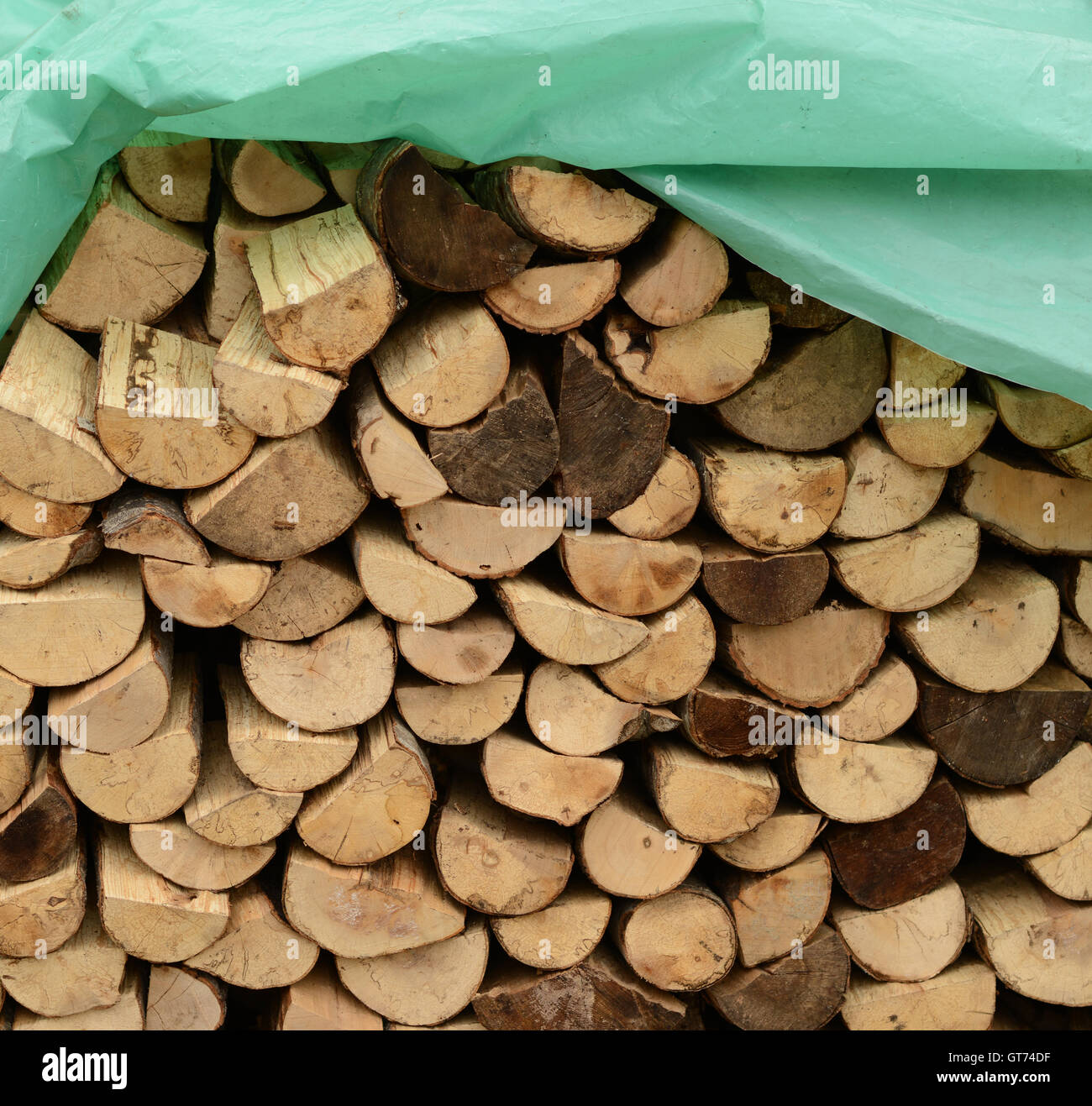 Gehacktes Holz bereit für den winter Stockfoto