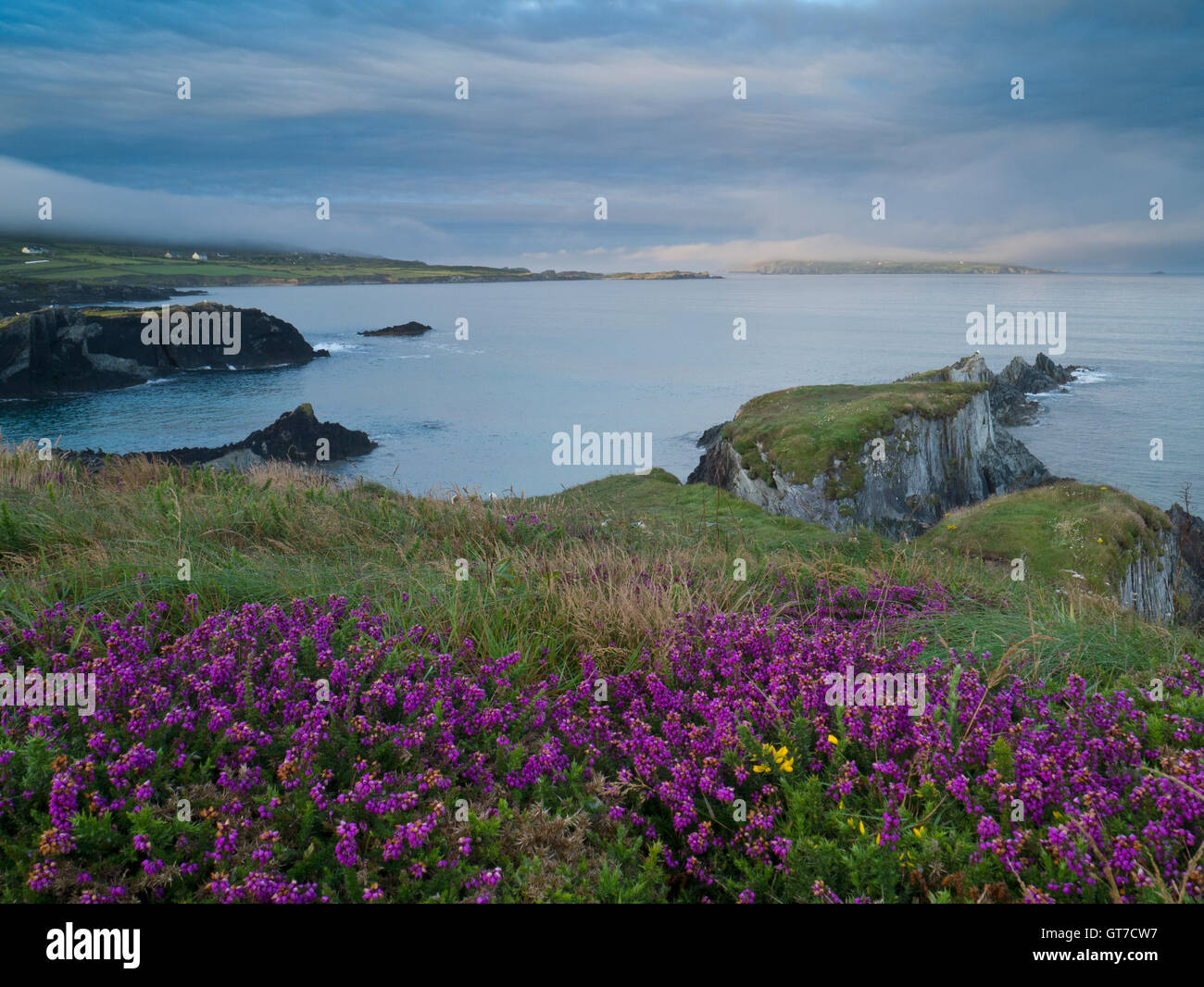 Blick vom Sherkin Island nach Cape Clear island Stockfoto