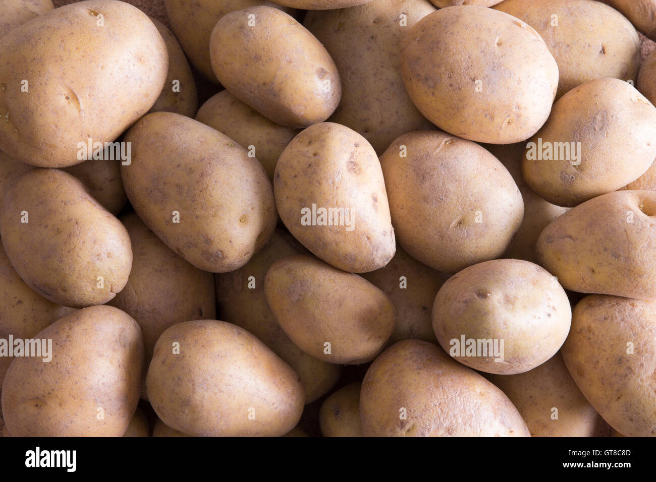 Full-Frame-Hintergrund der ganze rohe Bauernhof frischen goldenen Kartoffeln für ein köstliches nahrhafte Gemüse Begleitung Stockfoto