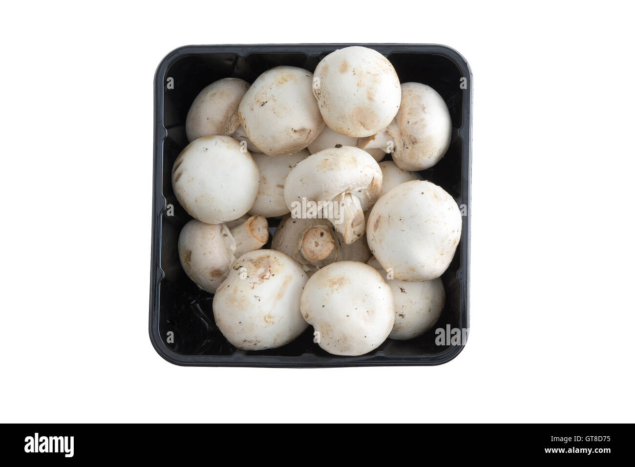 Behälter mit Bauernhof frischen Champignons oder Agaraicus Bisporus, eines der beliebtesten Zuchtpilze verwendet in vegetarisch Stockfoto