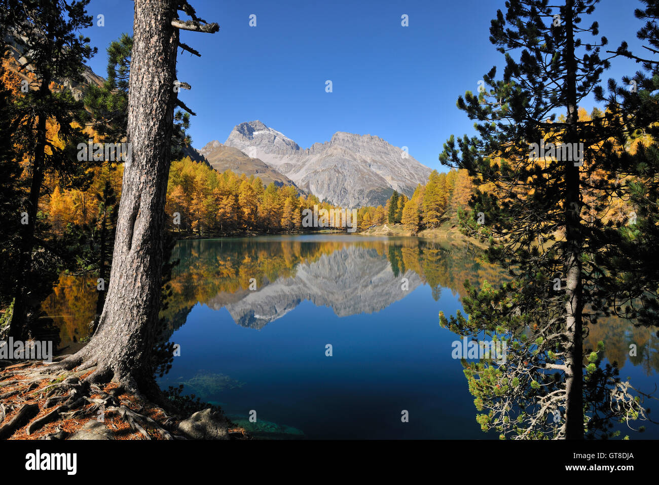 Lai da Palpuogna, Albulapass, Graubünden, Schweiz Stockfoto