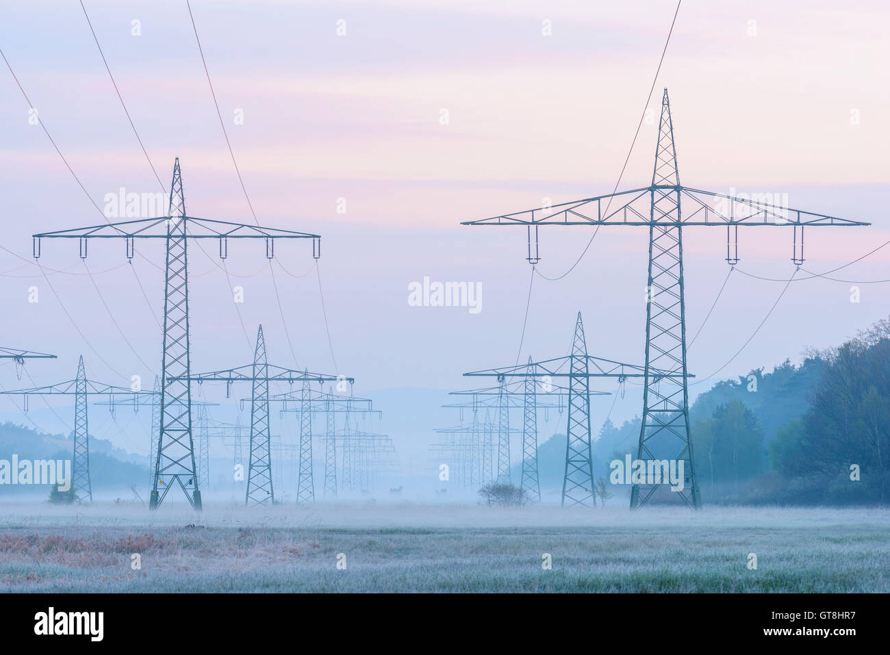 Strommasten im Morgennebel, Hessen, Deutschland Stockfoto