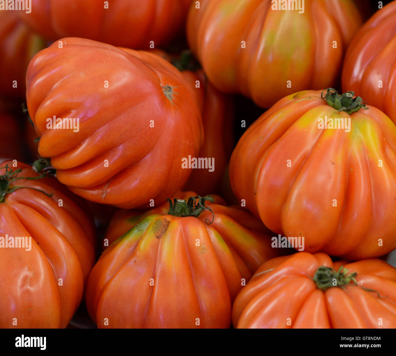 Frische Tomaten Stockfoto
