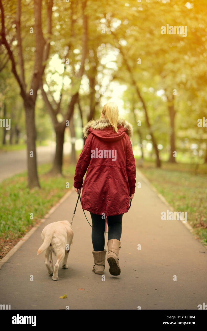 Mädchen und ihr Hund wandern in einem Park im Herbst Stockfoto