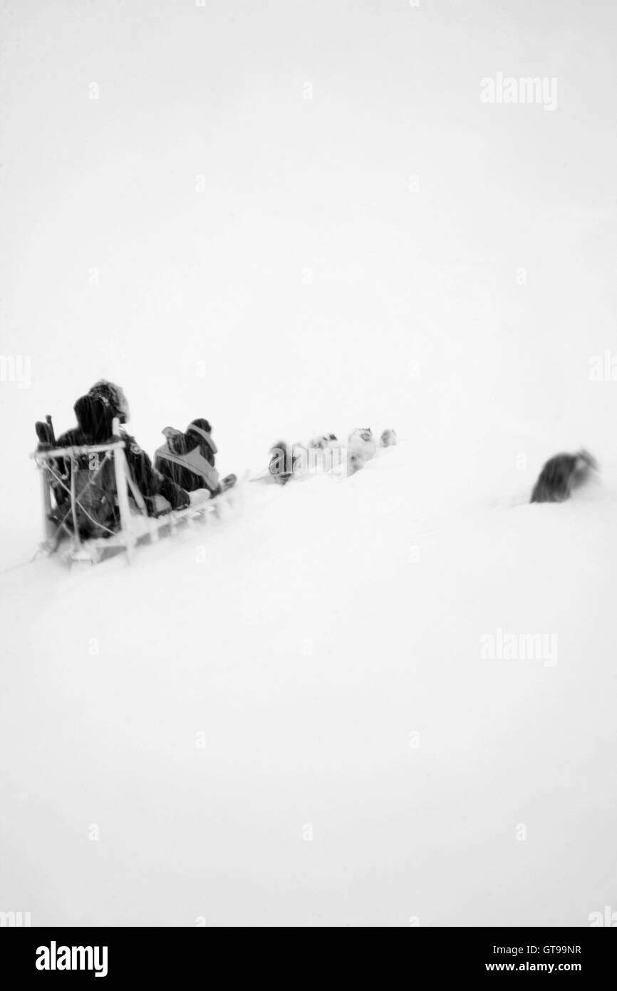 Kulusuk. Grönland. Stockfoto