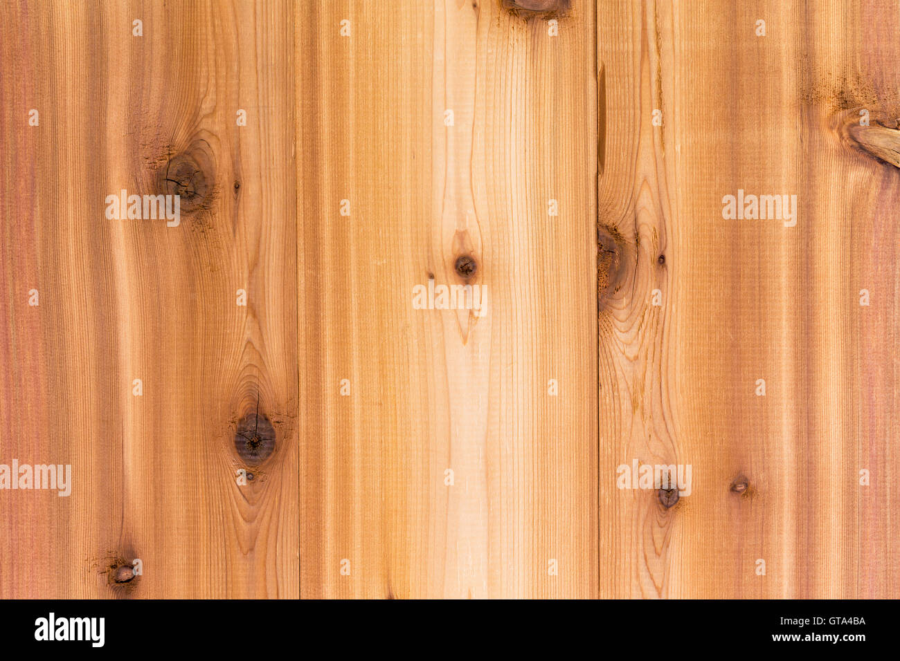 Zeder Holz Hintergrundtextur mit vertikalen Brettern und einem dekorativen Woodgrain Muster mit natürlichen Knoten, Vollbild-Ansicht Stockfoto