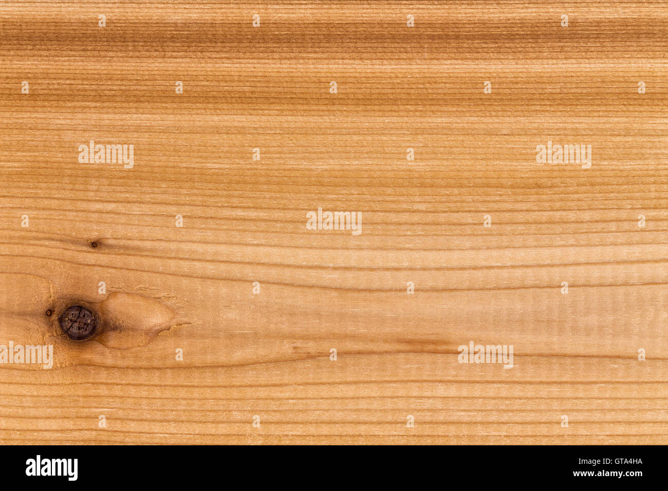 Einzigen festen Platte dekorative Zedernholz eine unverwechselbare Maserung mit Knoten in einem full-Frame Nahaufnahme Stockfoto