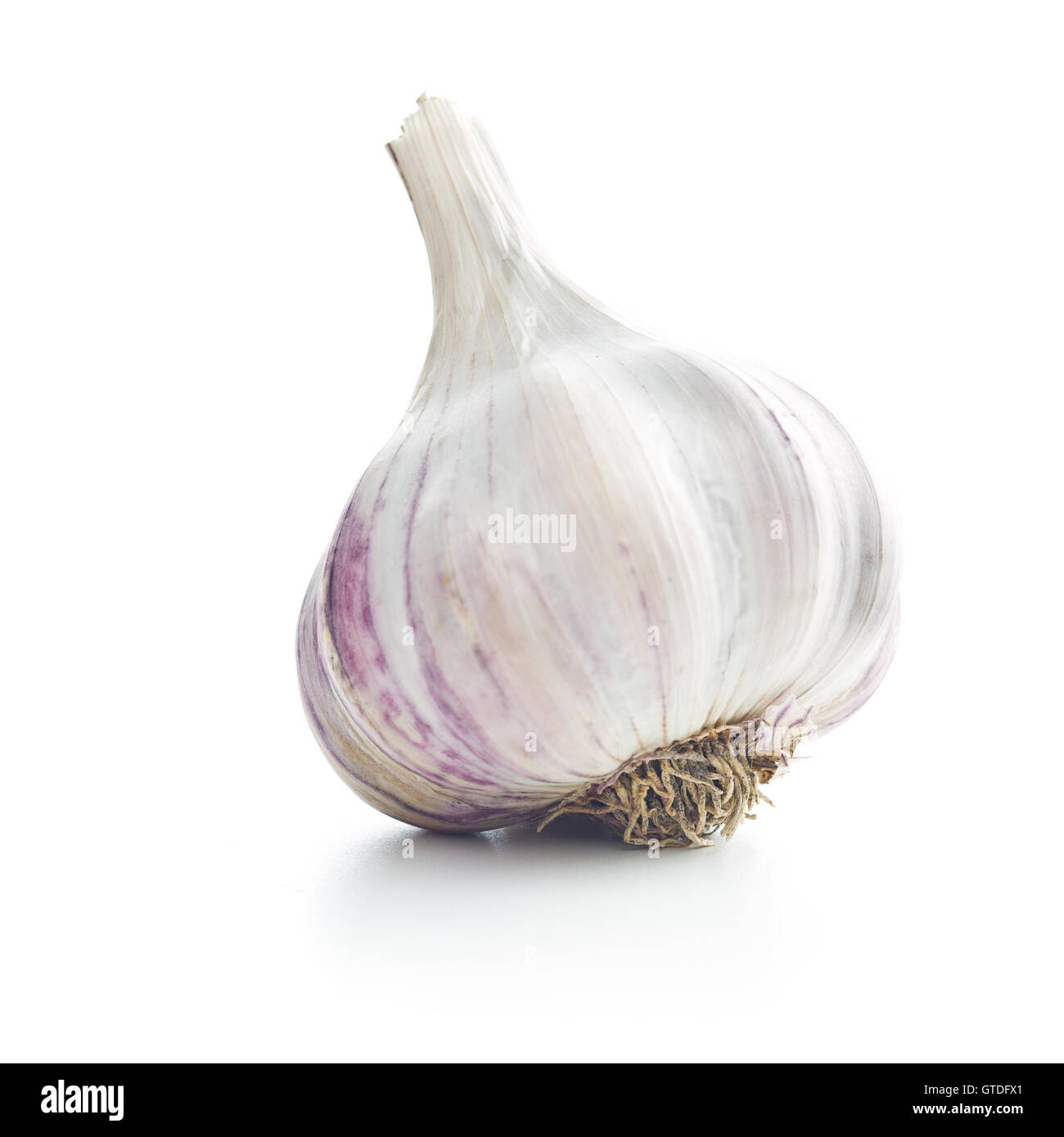 Den frischen Knoblauch isoliert auf weißem Hintergrund. Stockfoto