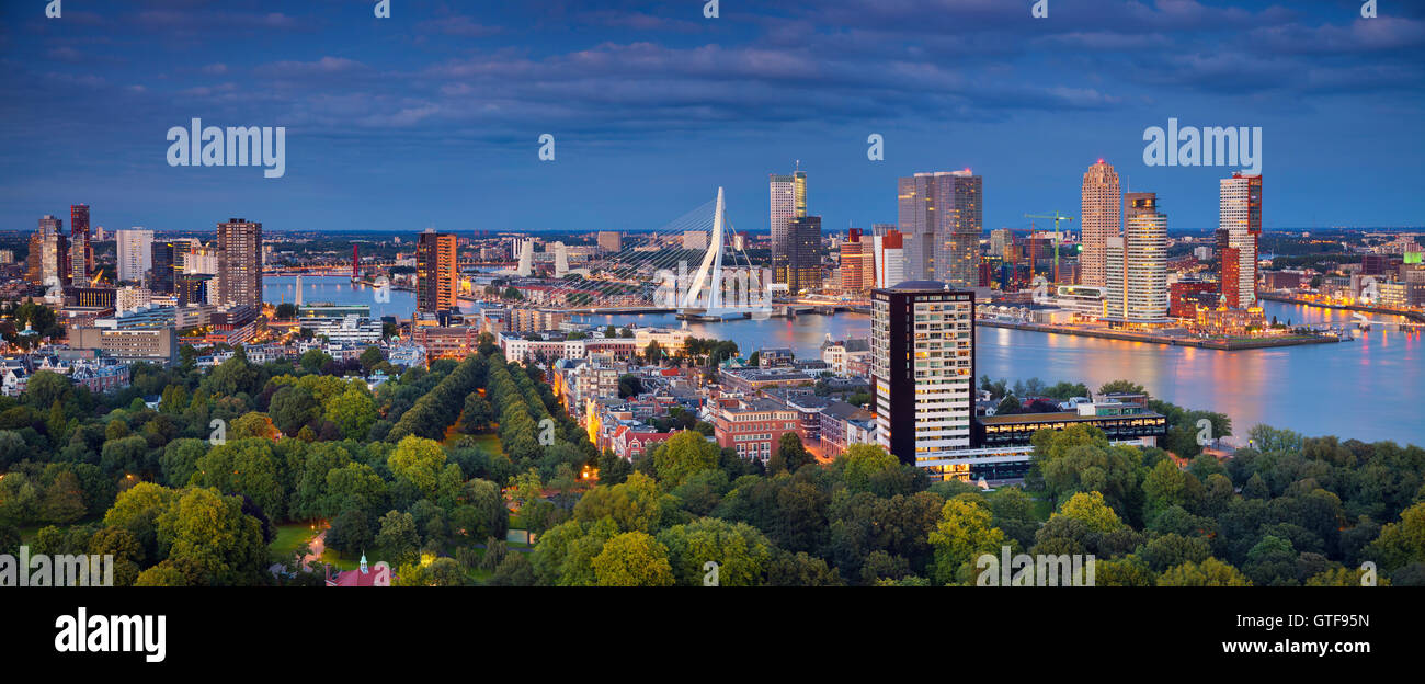 Rotterdam-Panorama. Panorama-Bild von Rotterdam, Niederlande während der blauen Dämmerstunde. Stockfoto