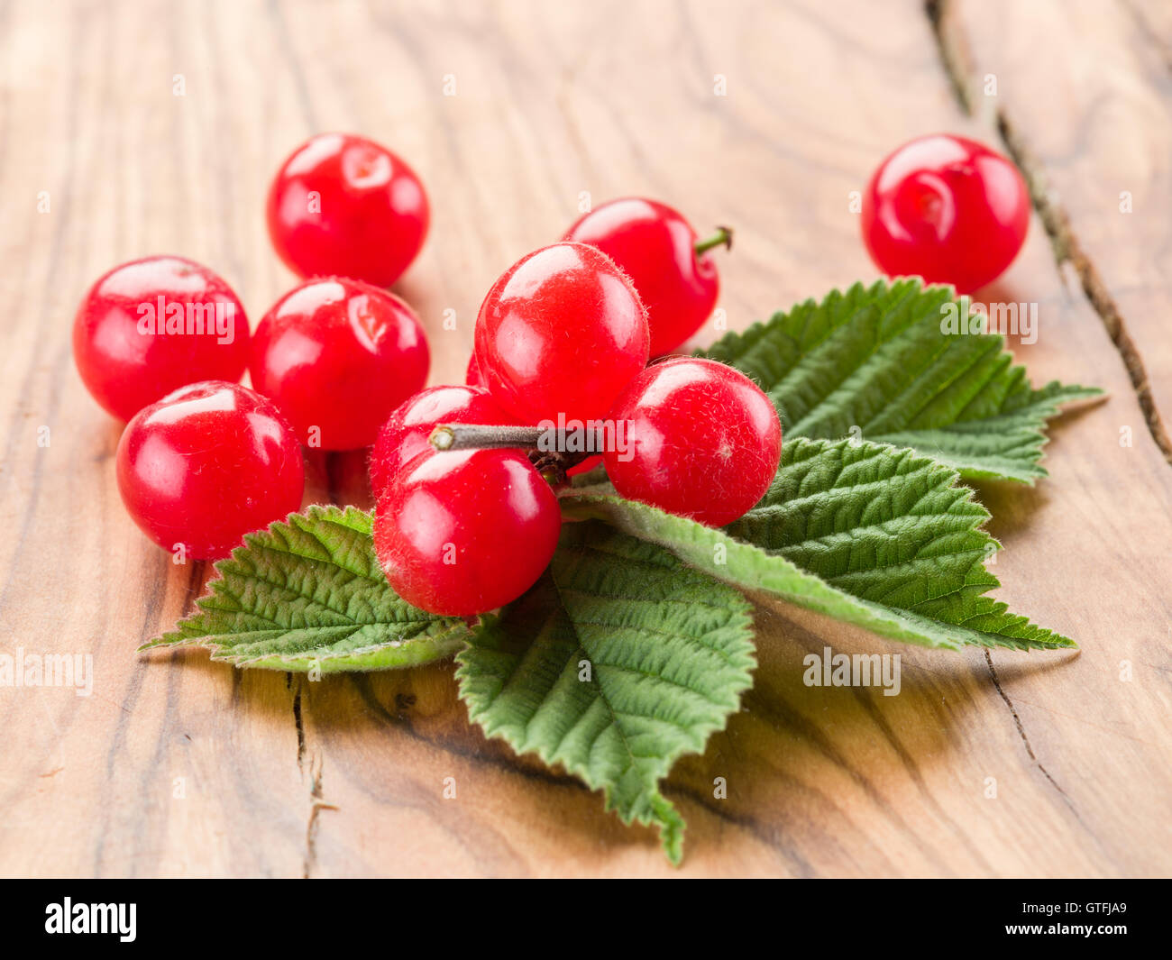 Nanking oder gefilzte Kirsche Früchte mit Blättern auf dem Holztisch. Stockfoto