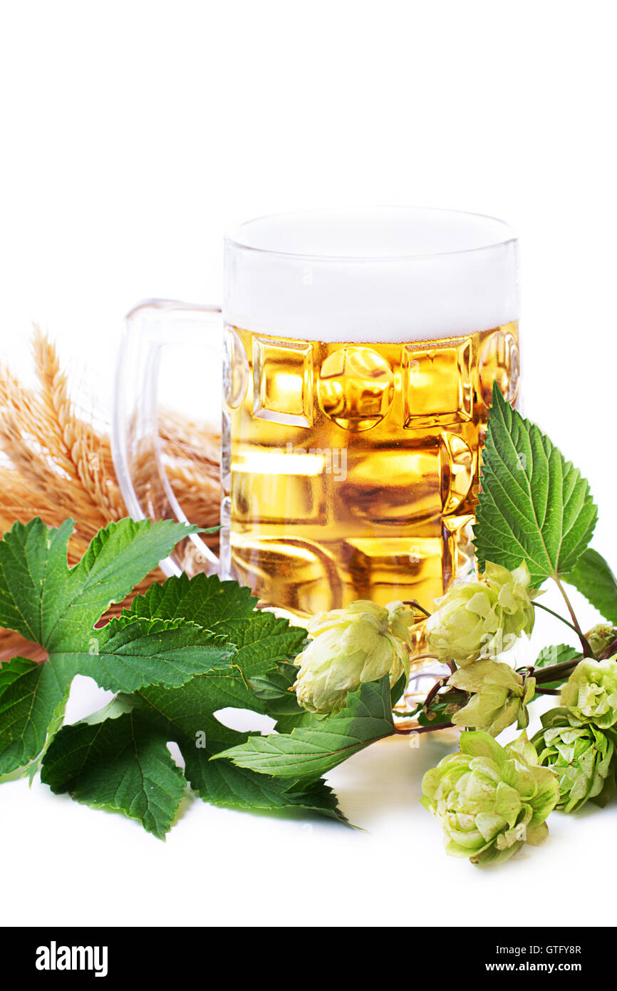 Becher des Goldenen Bier mit Hopfen Blättern und Weizen Stockfoto