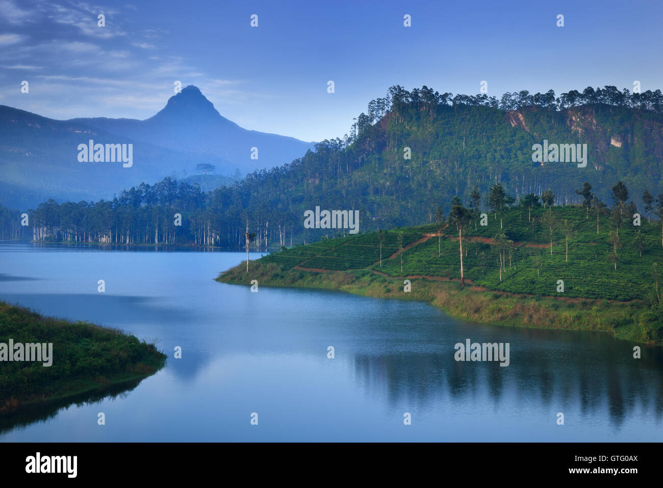 Adam's Peak (Sri Pada) in Sri Lanka bei Sonnenaufgang Stockfoto