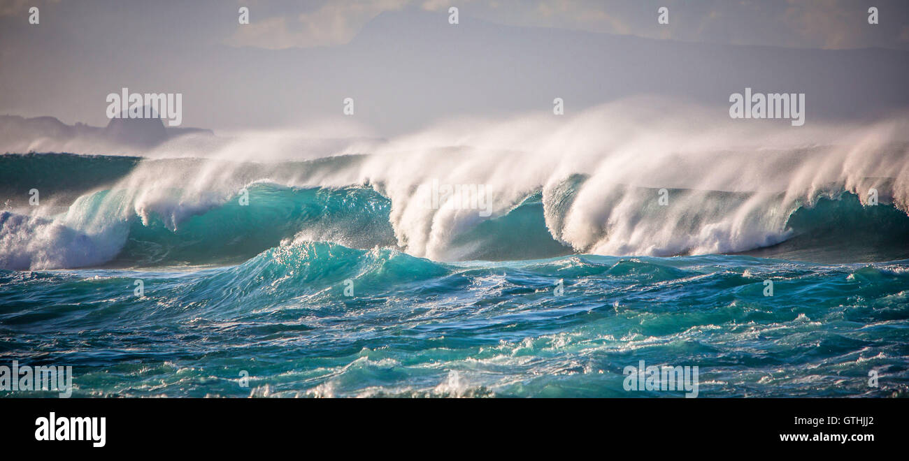 Große Wellen am Hookipa Beach auf der Insel Maui, Hawaii Stockfoto