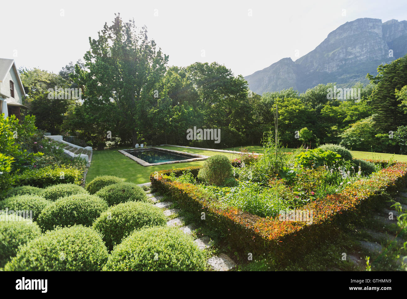 Sonnigen grünen Garten mit Blick auf die Berge Stockfoto