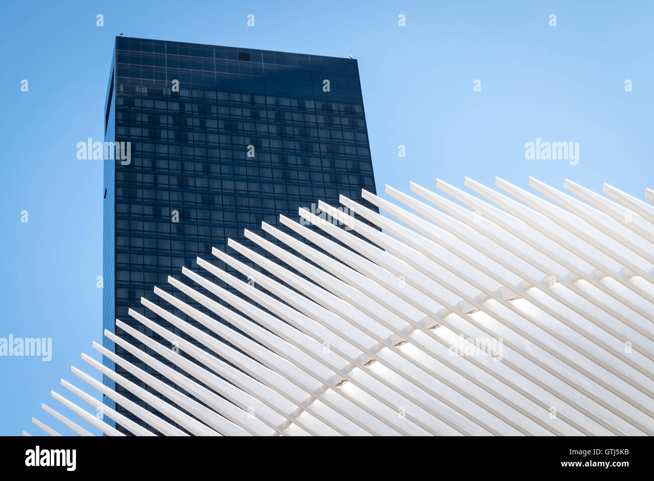 Ein schwarzer. weiße und blaue Bild des Oculus-Flügels Stockfoto