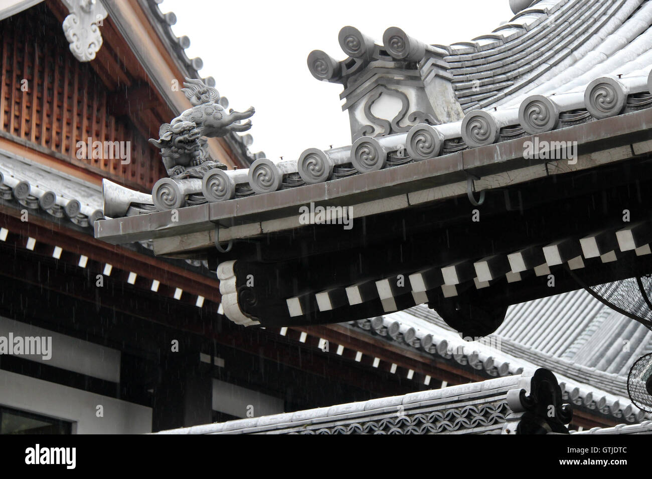 Detail eines Daches in der Koshoji-Tempel in Kyoto (Japan). Stockfoto