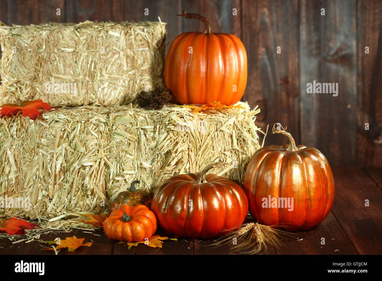 Unter dem Motto Herbstszene mit Kürbissen auf Holz Stockfoto