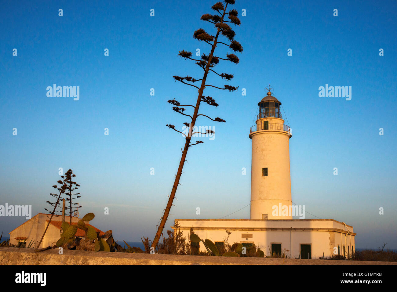 Sonnenuntergang. Leuchtturm Faro De La Mola, Formentera, Pityusen, Balearen, Spanien, Europa Stockfoto