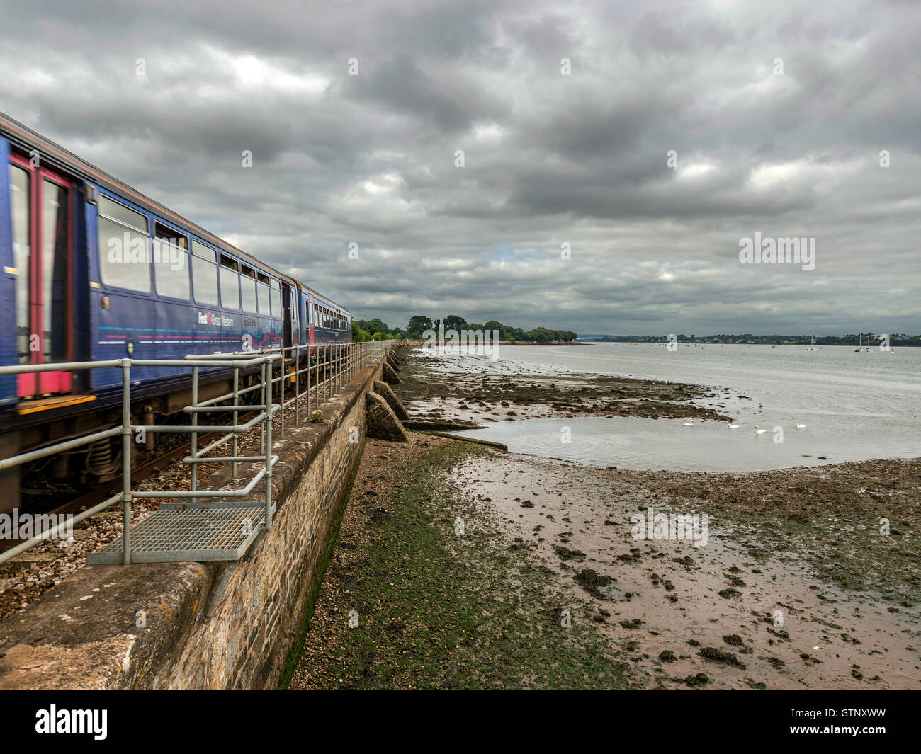 Abbildenden malerischen erstes Great Western Riviera Eisenbahnlinie entlang Fluß Exe an erstritt, mit einem vorbeifahrenden Zug Landschaft. Stockfoto