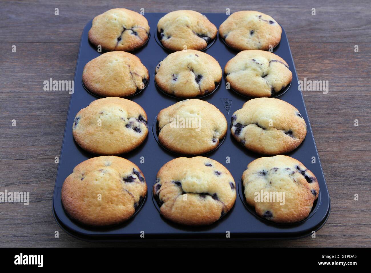 Blaubeer-Muffins in Dose Stockfoto