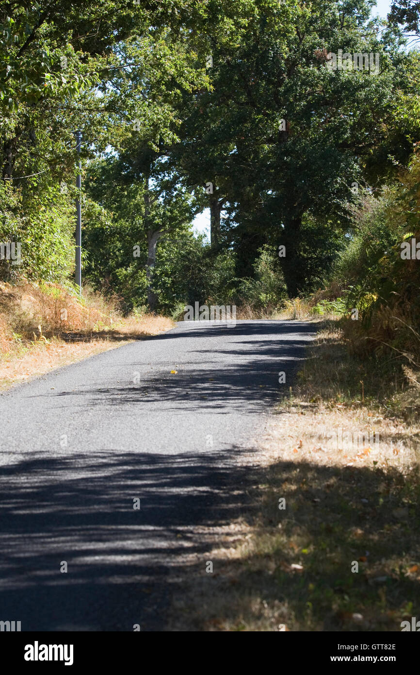 Französische Feldweg. Stockfoto