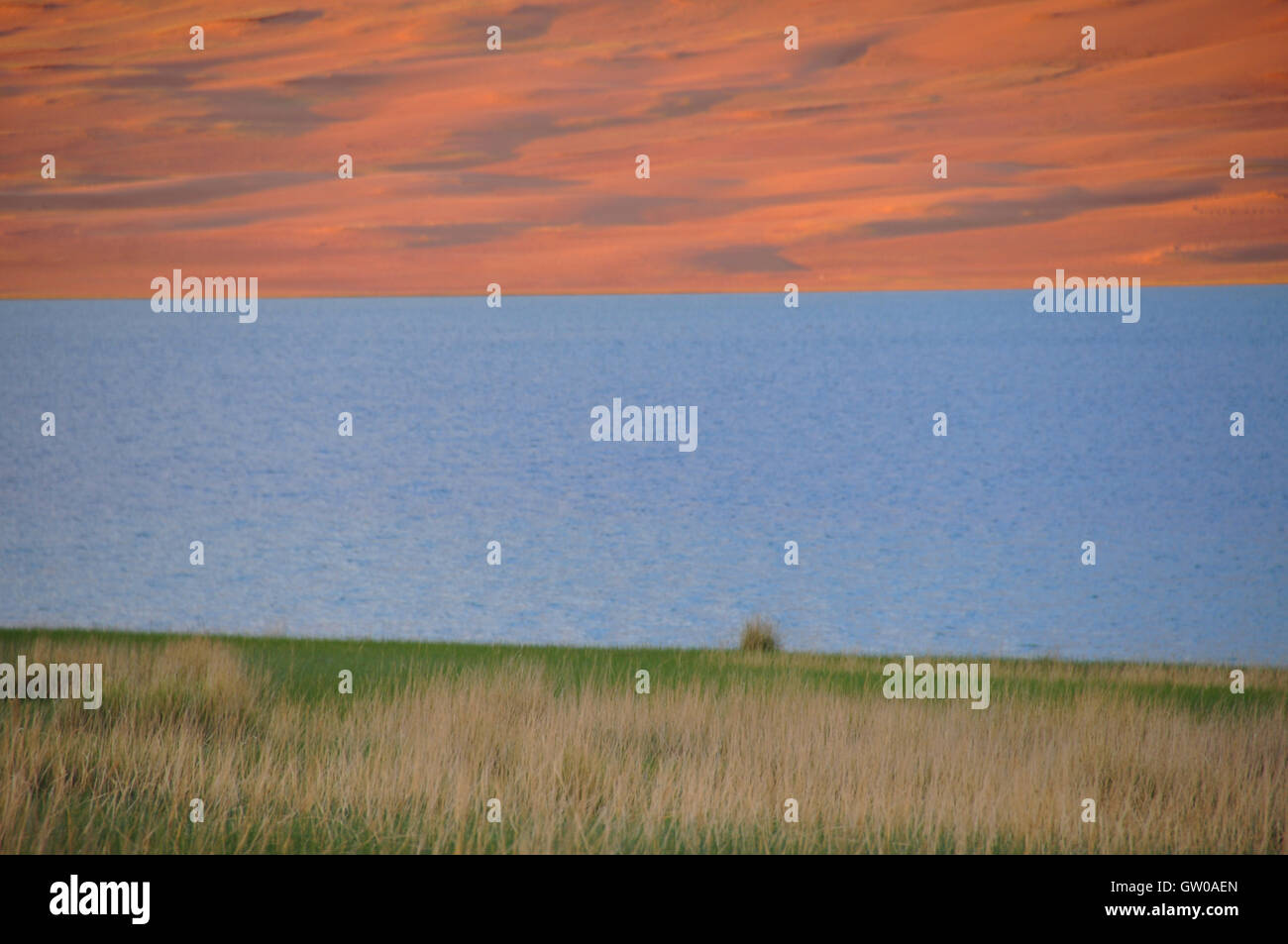 Abendlicht, Sanddünen und Steppenkräuter, Khar Nuur (See), westliche Mongolei Stockfoto