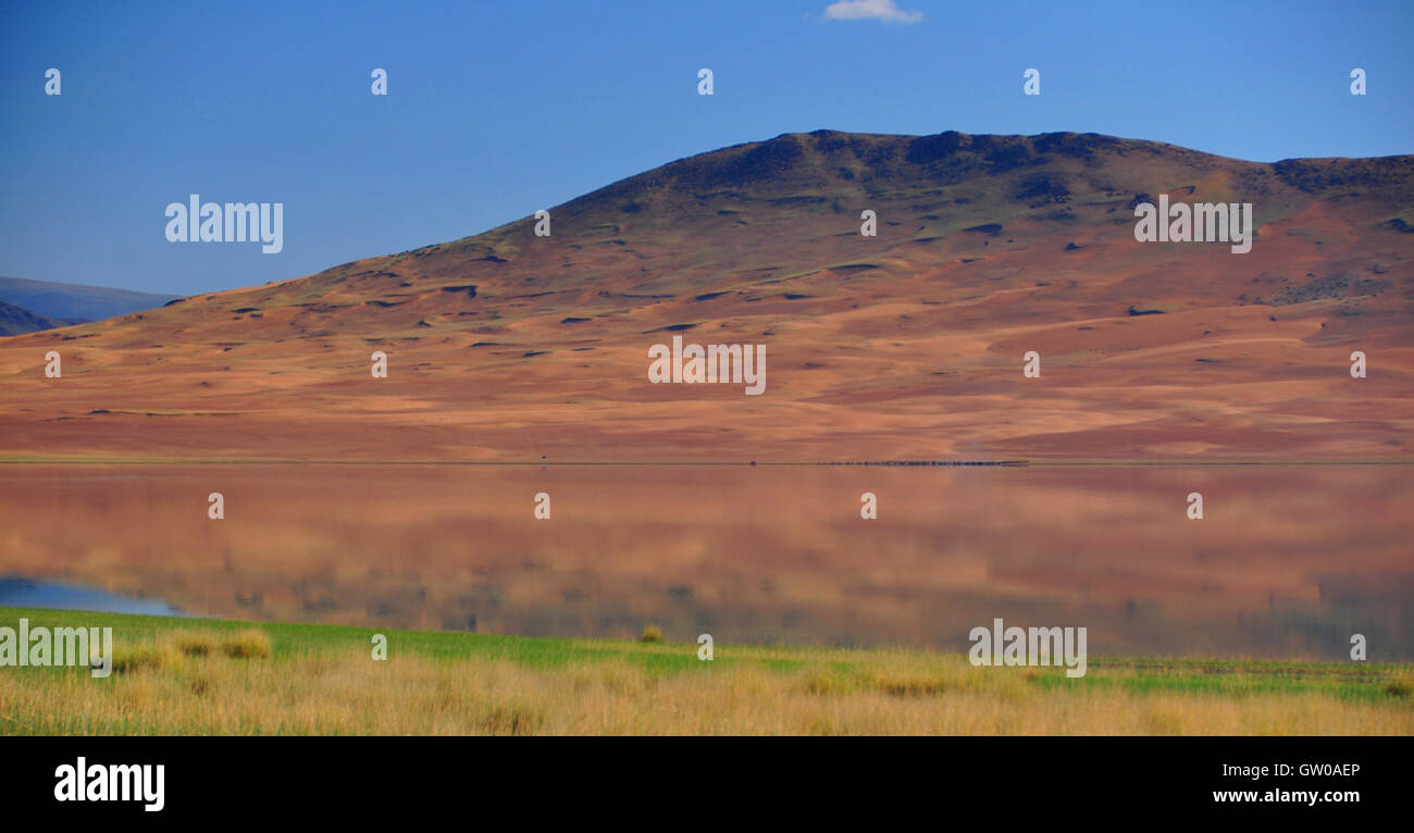 Abendlicht, Sanddünen und Steppe Gräser, khar Nuur (See), der westlichen Mongolei Stockfoto