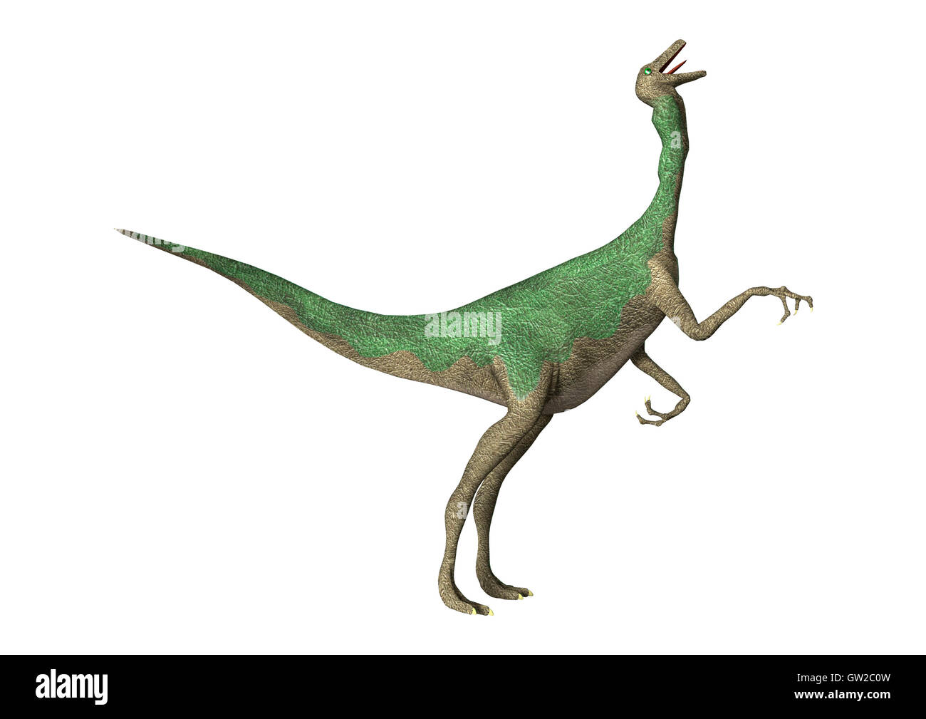 3D-Rendering eines Dinosauriers Gallimimus isoliert auf weißem Hintergrund Stockfoto