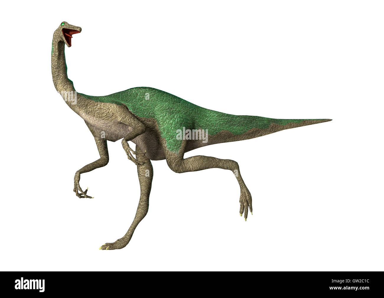 3D-Rendering eines Dinosauriers Gallimimus isoliert auf weißem Hintergrund Stockfoto