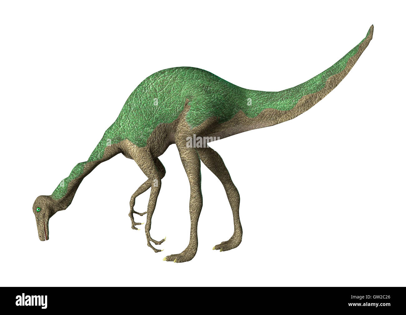 3D-Rendering eines Dinosauriers Gallimimus isoliert auf weißem Hintergrund Stockfoto