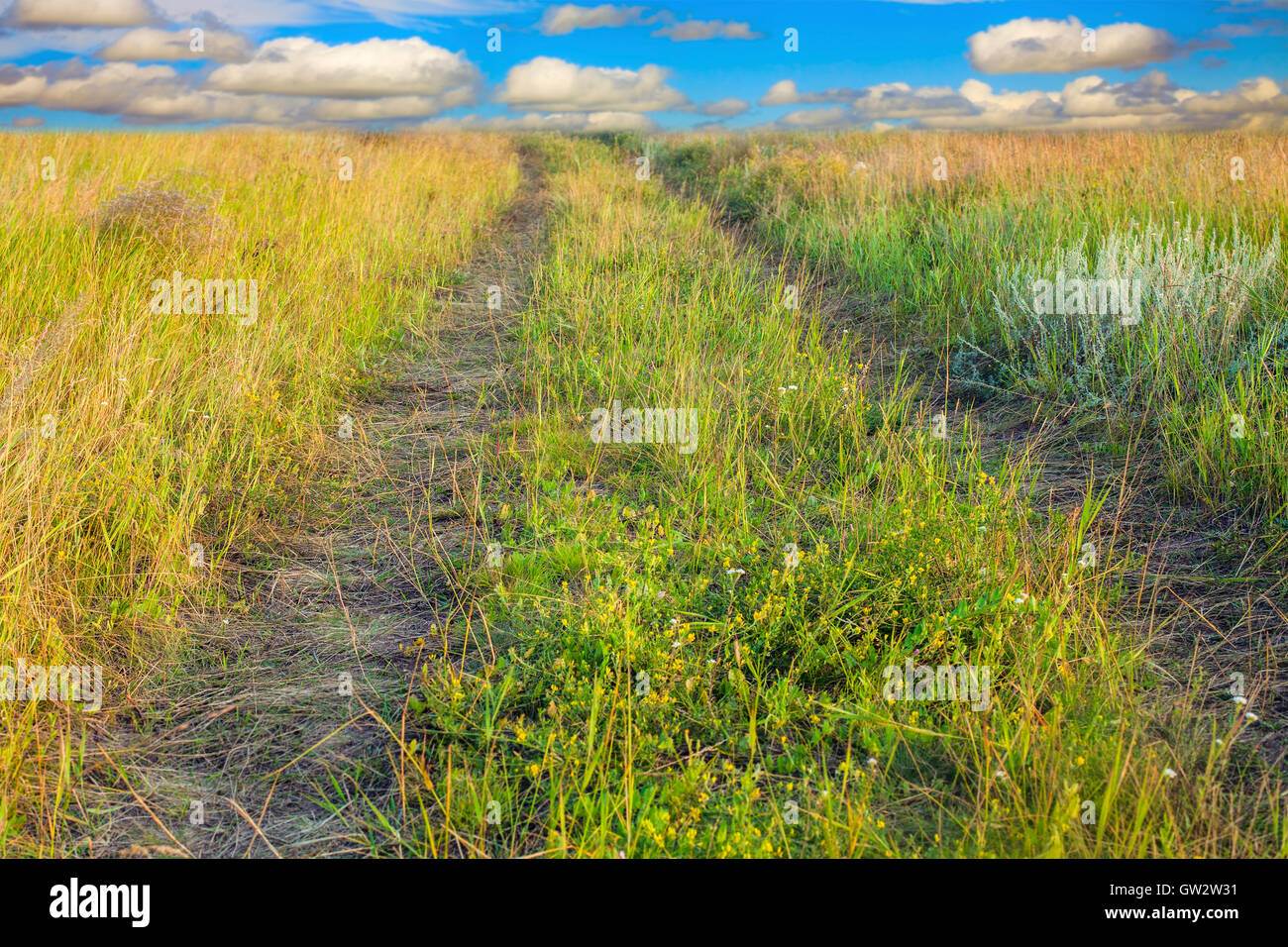 Foto von der Straße in ein Feld Stockfoto