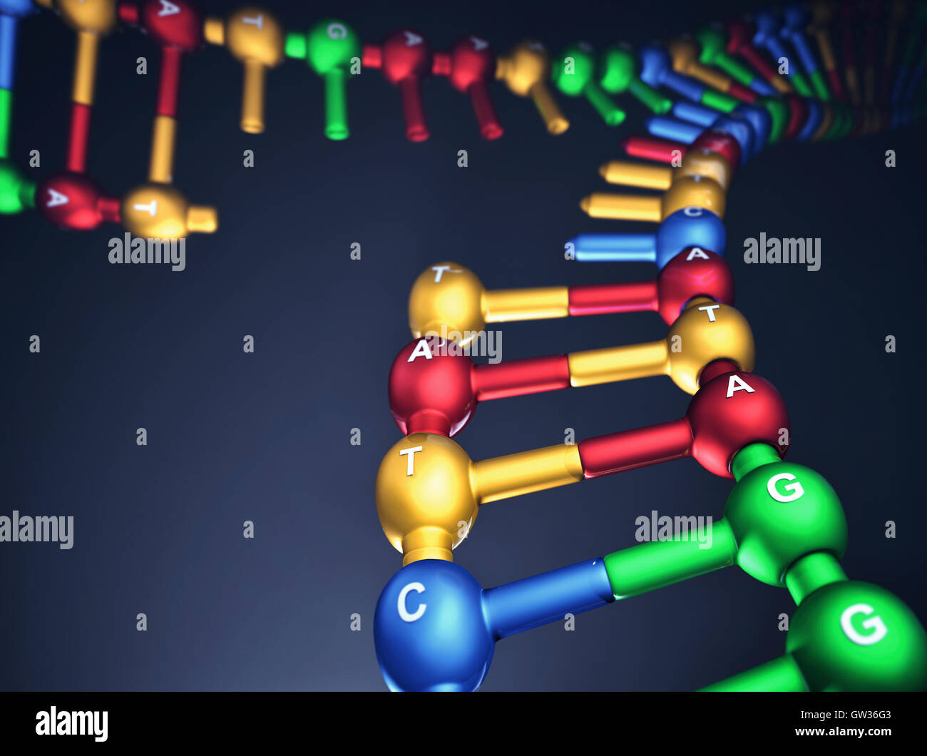 Strang der DNA (Desoxyribonukleinsäure), Illustration. Stockfoto