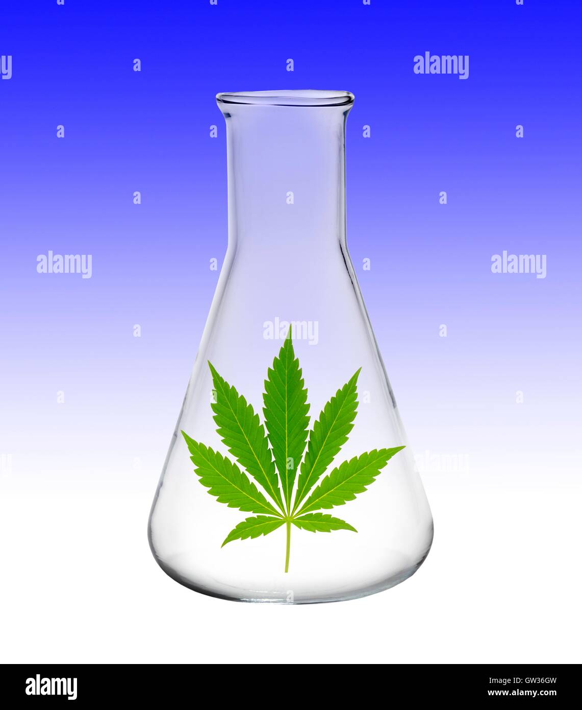 Kolben mit Cannabisblatt, Abbildung. Stockfoto