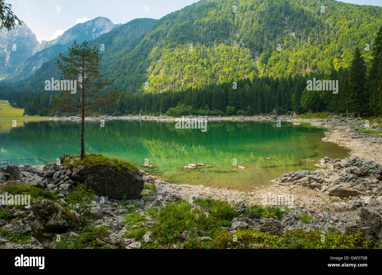 Laghi di Fusine / Fusine Seen / Belopeska Jezera, Italien Stockfoto