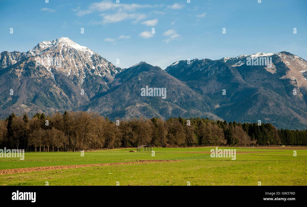Heuraufe auf Wiese in der Region Gorenjska, Slowenien Stockfoto