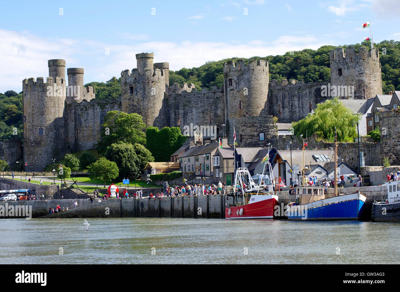Conwy Castle und Hafen, Wales Stockfoto