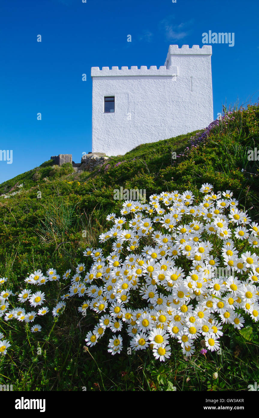 Ellins Turm, South Stack, Holyhead, Wales. Stockfoto