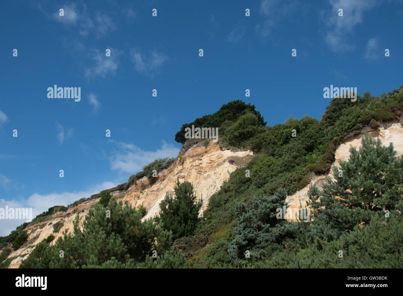 Canford Cliffs, Branksome Chine, mit Blick auf Bucht Poole, Dorset, Großbritannien Stockfoto