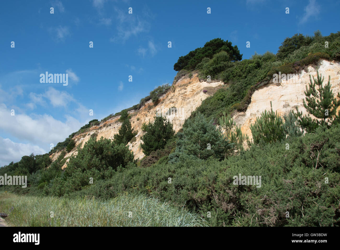 Canford Cliffs, Branksome Chine, mit Blick auf Bucht Poole, Dorset, Großbritannien Stockfoto